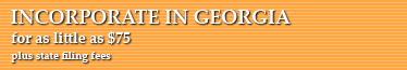 Incorporate In Georgia